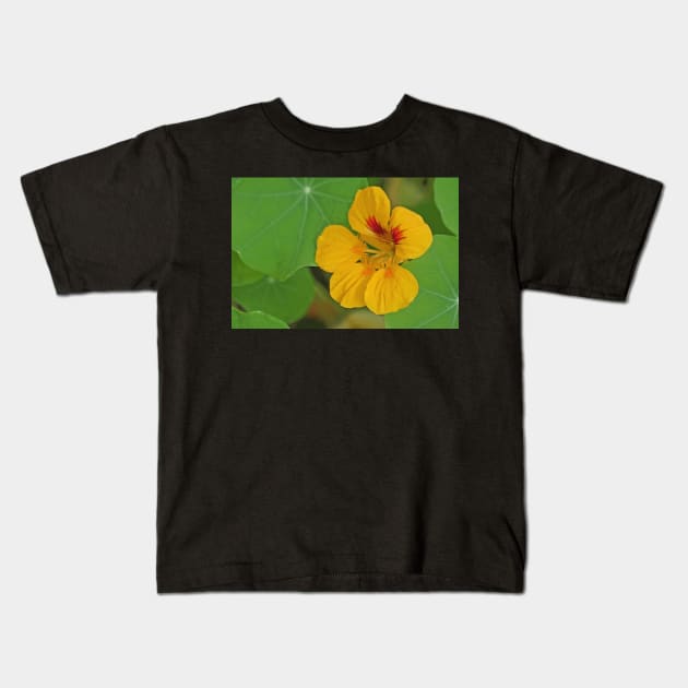 Nasturtium Kids T-Shirt by EileenMcVey